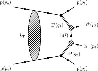 Pomeron